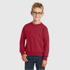 Youth Port & Company Core Fleece Crewneck Sweatshirt